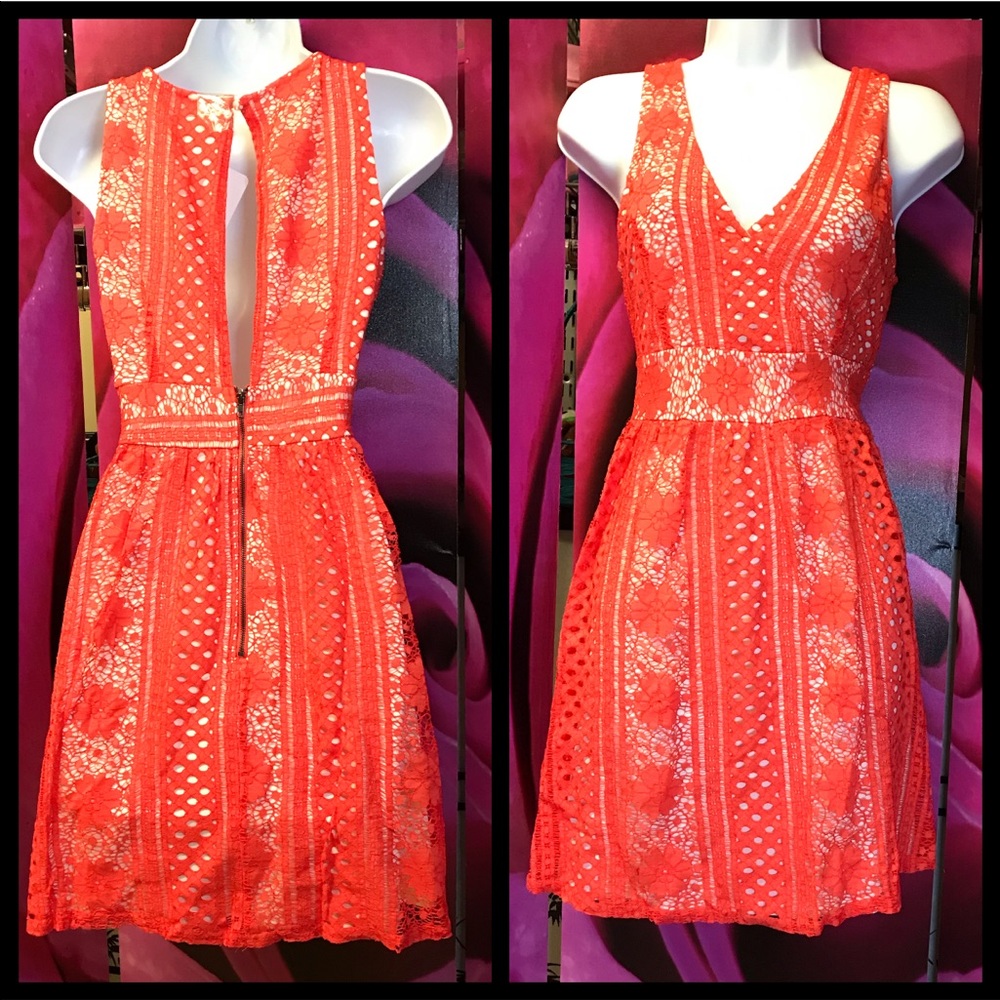 Lace fit n flare dress